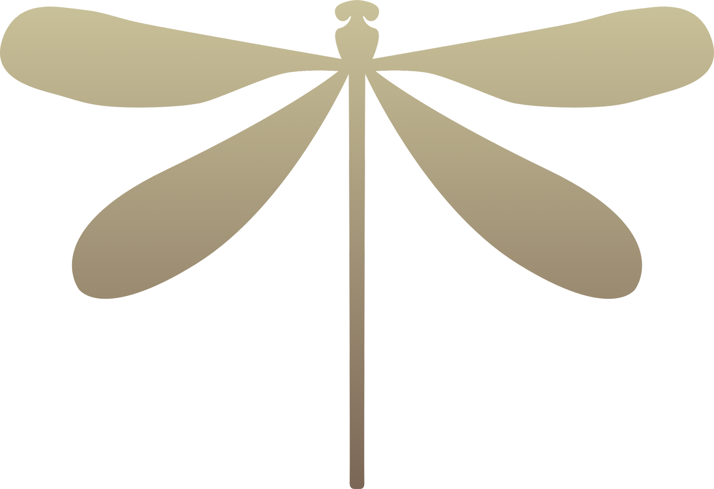 Golden dragonfly illustration